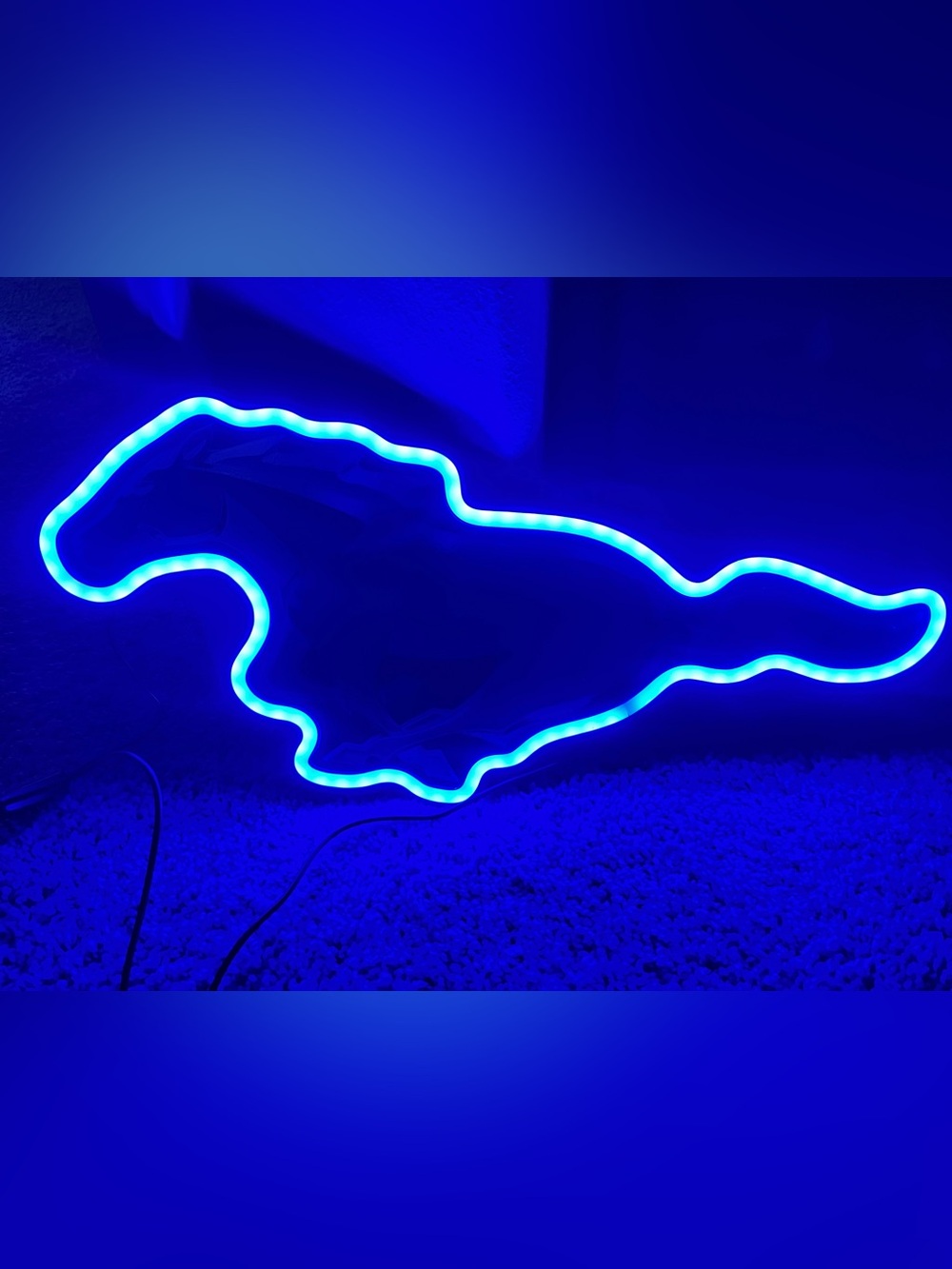 Ford Mustang LED wall sign